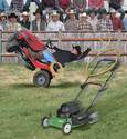 Lawn Mower Rodeo