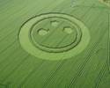 Crop Circle