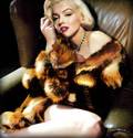 Monroe Fur