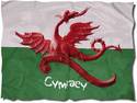 CYMRU AM BYTH