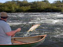 on the rapids