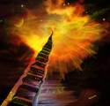 Jacob's Ladder