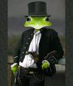 Gentleman Frog