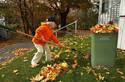 Raking Leaves