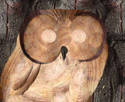 Woodsy Owl