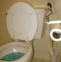 toilet diver