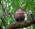 birdhouse