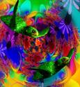 Parrots on Acid