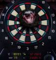 Hedgehog Darts.