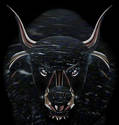  ~ Black Bull ~