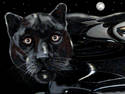  ~ Black Panther ~