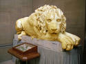 The Golden Lion