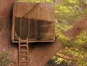 Tree House(TCM)