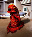 Chestburster