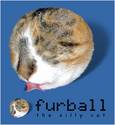 Furball