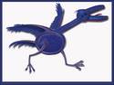 Blue Crane