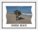 Joshua Beach