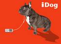 iDog