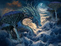 Dragon dream