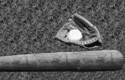 Old Wood Bat