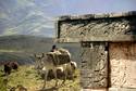 mountaintop ruins