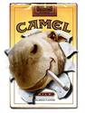 JOE CAMEL