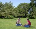 Picnic on the grass