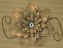 sand flower