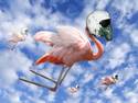 Flying Flamingos