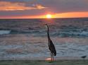 Guarding the Beach