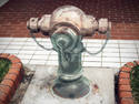 Water Hydrant