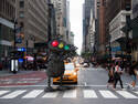 The Crosswalk Guardian