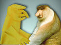 Proboscis monkey