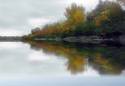 Reflections of Foliage