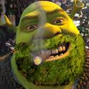 Drunk Shrek