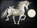 White Unicorn