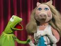 Muppets Live