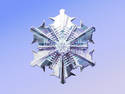 Snowflake Photograph