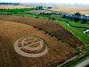 Crop Circle