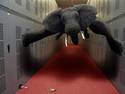 lphant dans corridor