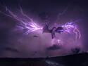 Lightning Dragon