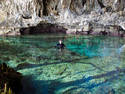 Cave Spring Exploring