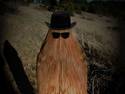 Cousin Itt