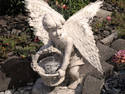 Angel Gathering Water