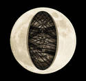 Hollow Moon/ Cut away.. 