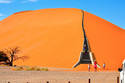 Dune Stairs