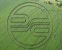 Crop Circle