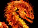 Fire Dragon