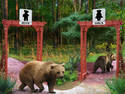 Look! Bears do sh1t in..