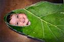 Baby in Leaf